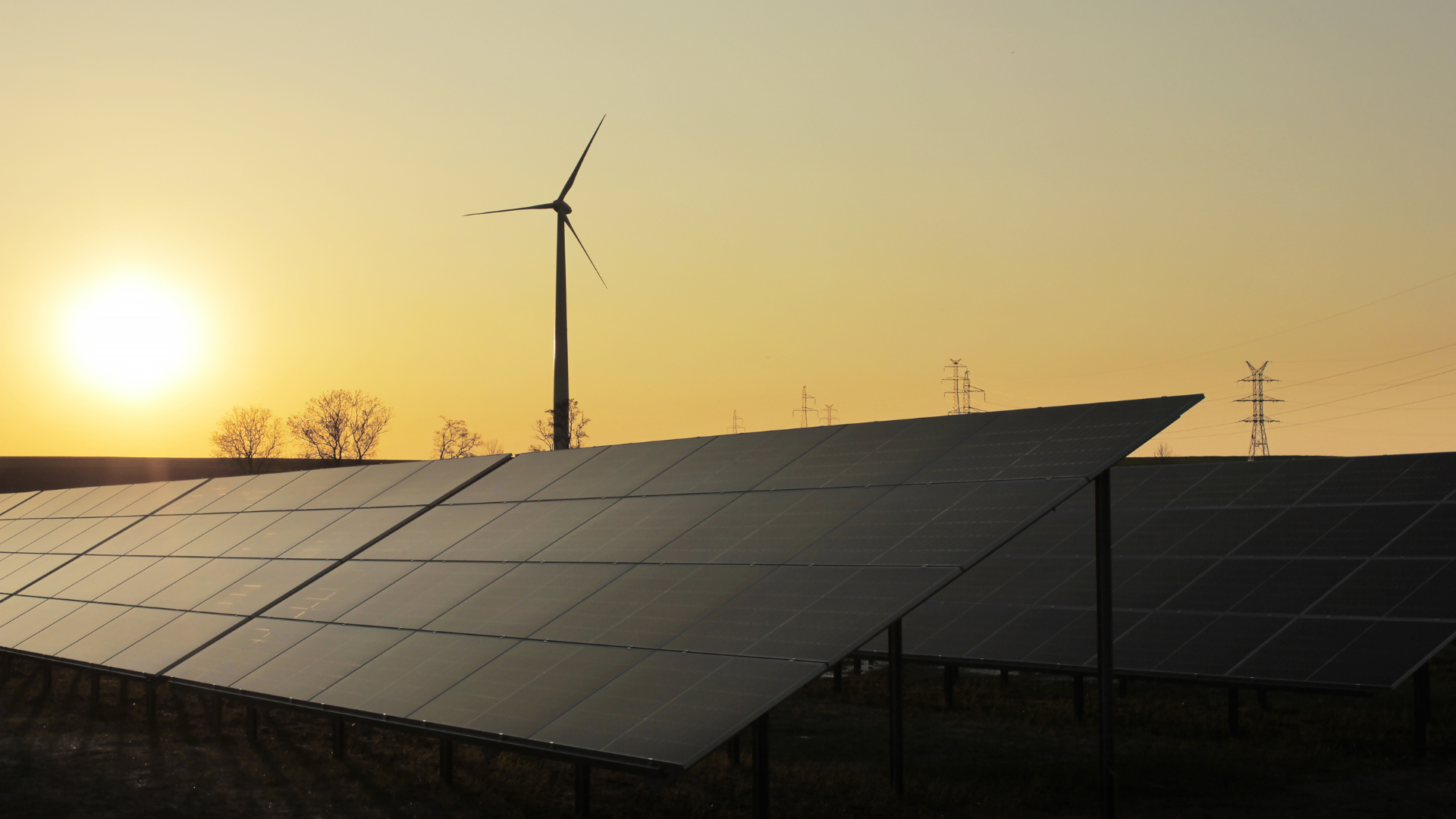 Paneles Solares en Argentina: Tecnología, Tendencias y el Futuro de la Energía Solar