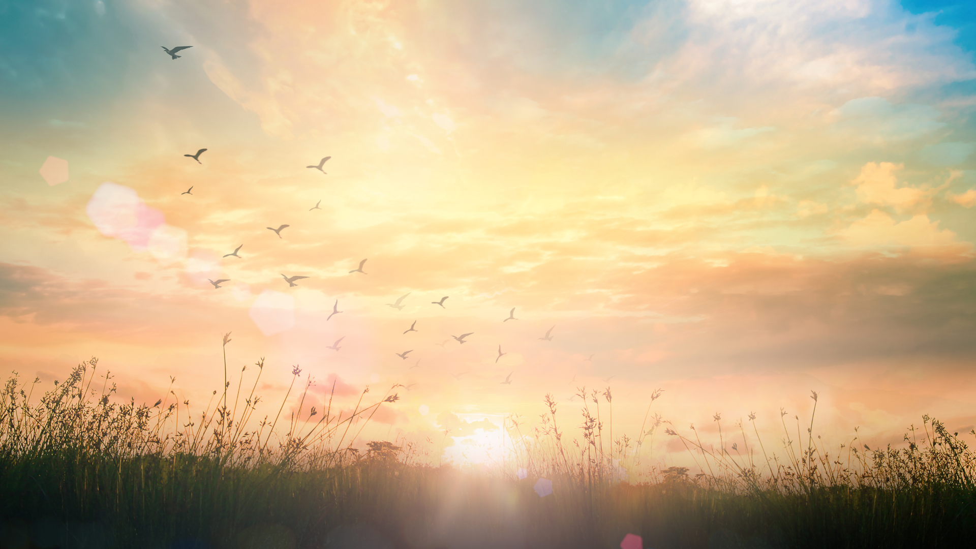 SolarPower: historia, innovación y el modelo que cambió para siempre el acceso a la energía solar en Argentina